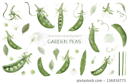 綠豌豆水彩素描材質套裝 綠豌豆水彩素描材質套裝 136838775