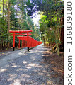 Torii gate of Minamimiya Taisha Shrine 136839180