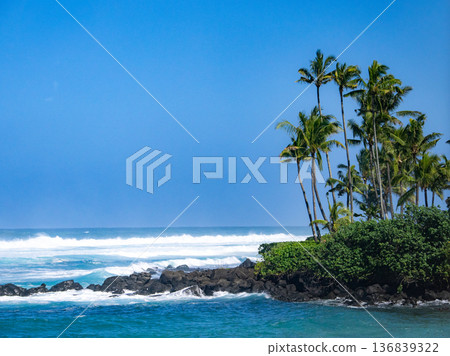 North Shore Big Waves North Shore Big Waves 136839322