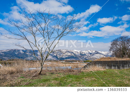 滋賀縣高島市牧野町千內川初春景色 滋賀縣高島市牧野町千內川初春景色 136839333