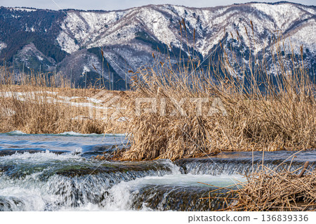 Scenery of the Chiuchi River in early spring, Makino Town, Takashima City, Shiga Prefecture Scenery of the Chiuchi River in early spring, Makino Town, Takashima City, Shiga Prefecture 136839336