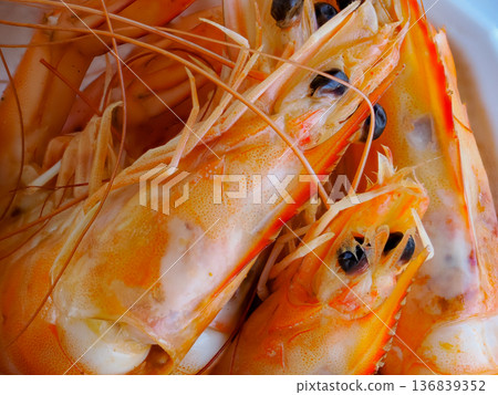夏威夷大蒜蝦 夏威夷大蒜蝦 136839352