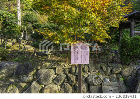 山形縣遊座町鳥海山蕨岡、上寺、山本坊庭園 136839431
