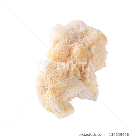 Yamabushitake mushroom or lion mane mushroom isolated over white background. 136839496