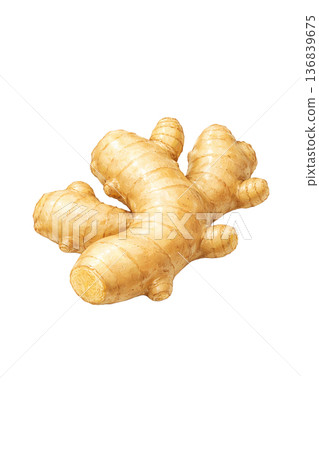 薑的水彩插畫素材 | 自然可愛的根莖類蔬菜圖案 136839675