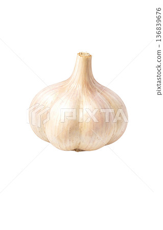 大蒜水彩插畫素材 | 簡單易用的烹飪蔬菜 136839676