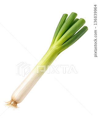 水彩風格的蔥插圖 | 簡單的葉菜類蔬菜，可用於日本料理 136839964