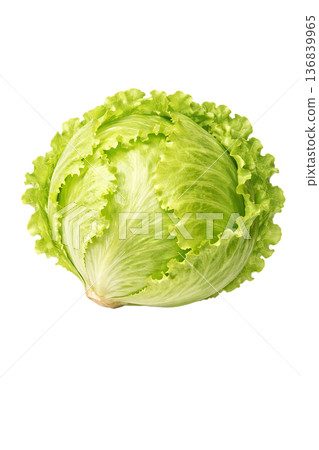Watercolor illustration of lettuce | Fresh and cute leafy vegetable motif 136839965