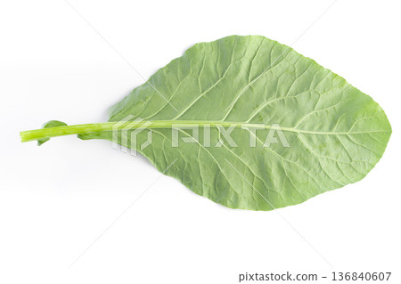 Kale leaves isolated on a white background Kale leaves isolated on a white background 136840607