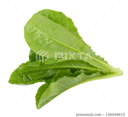 Lettuce Romain isolated on a white background 136840615