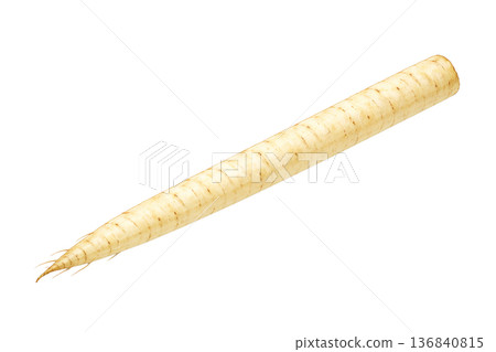 牛蒡水彩插畫素材 | 簡單易用的根莖類蔬菜圖案 牛蒡水彩插畫素材 | 簡單易用的根莖類蔬菜圖案 136840815