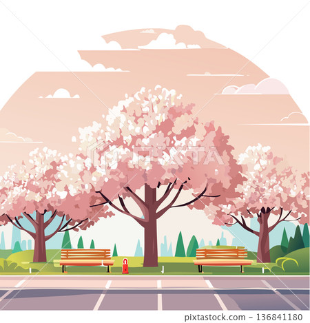 春日公園裡一排盛開的櫻花樹的插圖 136841180