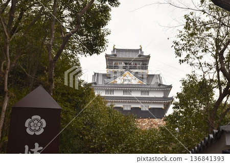 Gifu Castle Gifu Castle 136841393