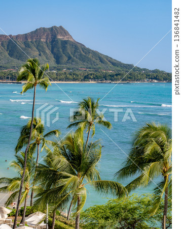 A landscape with blue sky, palm trees, and Diamond Head 136841482