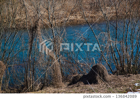 早春的河床 136842089