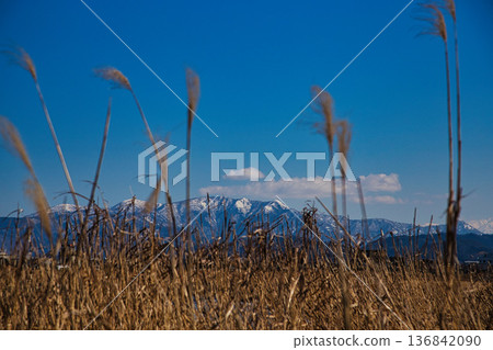 早春的河床 早春的河床 136842090