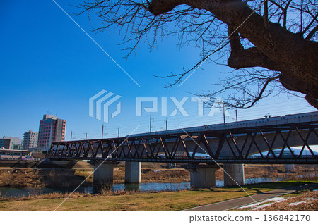 早春的河床 早春的河床 136842170