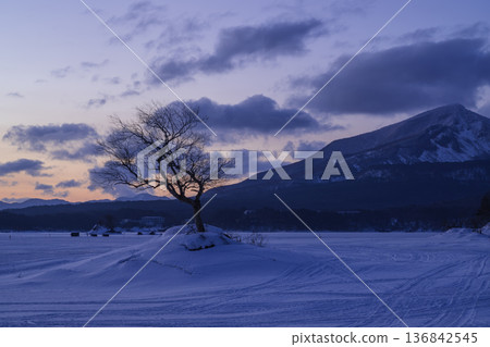 冬日清晨的陽光灑在山坡上,一棵樹巍然屹立。 冬日清晨的陽光灑在山坡上,一棵樹巍然屹立。 136842545