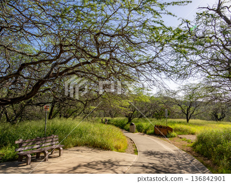 與金剛石頭的山徑 136842901