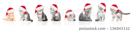 Set of cute kittens in Santa Claus hats isolated on white background 136843132