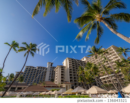 酒店庭院裡有棕櫚樹 136843321
