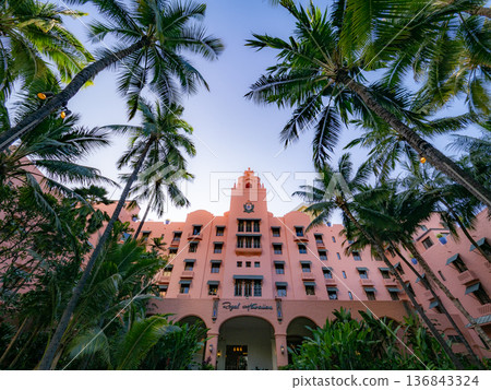 Waikiki hotel and palm tree landscape Waikiki hotel and palm tree landscape 136843324