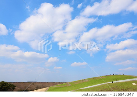 二月下旬的日立海邊公園 二月下旬的日立海邊公園 136843347