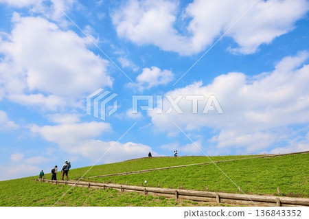 Hitachi Seaside Park in late February Hitachi Seaside Park in late February 136843352