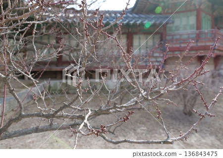 Traditional Korean Architecture in Seoul Traditional Korean Architecture in Seoul 136843475