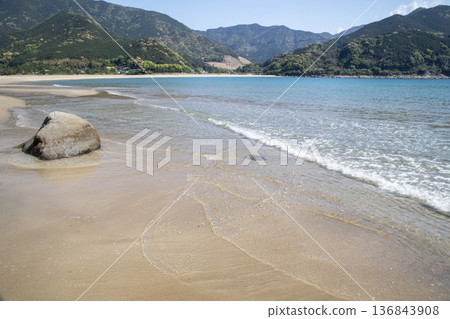 春季的嵐鹿海岸 春季的嵐鹿海岸 136843908