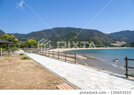 春季的嵐鹿海岸 春季的嵐鹿海岸 136843910