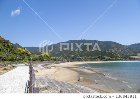 春季的嵐鹿海岸 136843911