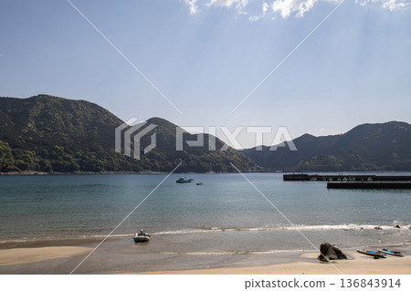 春季的嵐鹿海岸 春季的嵐鹿海岸 136843914