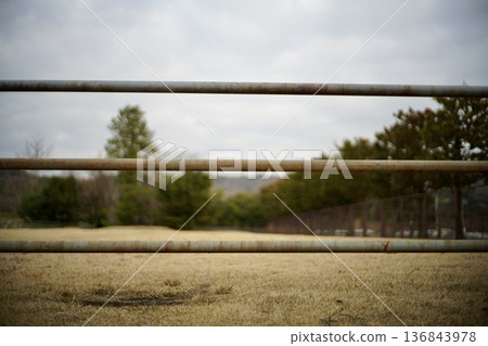 iron bar fence iron bar fence 136843978