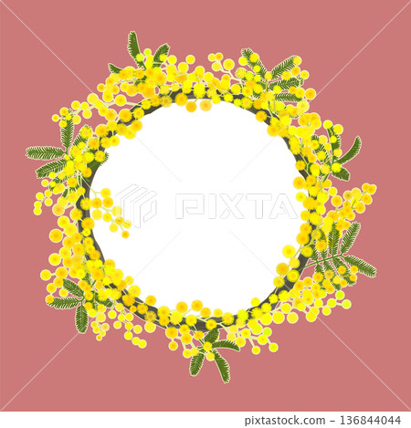 含羞草花環(透明/珊瑚色) 含羞草花環(透明/珊瑚色) 136844044