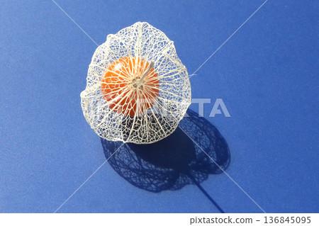 Web nettle Web nettle 136845095