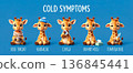cute giraffe on poster depicting cold symptoms, with text describing main symptoms and pictures, and cute animal, banner is designed for pediatric clinic or general practitioner's office 136845441