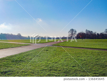 A view of a grassy park and a walking path intersecting under the blue spring sky A view of a grassy park and a walking path intersecting under the blue spring sky 136845645