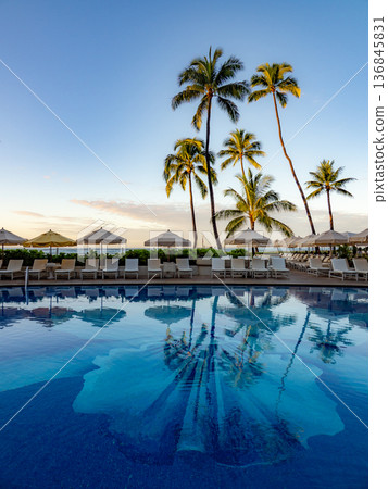 Hawaii Waikiki pool and palm trees sunrise Hawaii Waikiki pool and palm trees sunrise 136845831