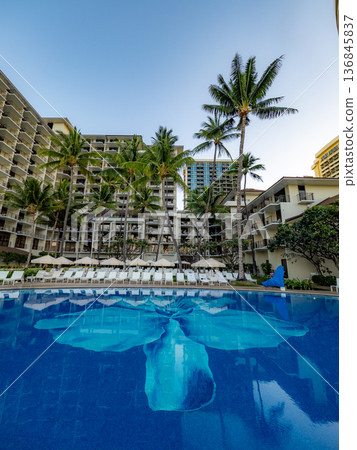 Hawaii Waikiki pool and palm trees sunrise Hawaii Waikiki pool and palm trees sunrise 136845837