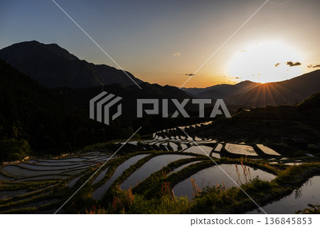 Spring evening at Maruyama Senmaida 136845853