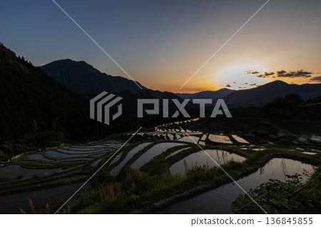 Spring evening at Maruyama Senmaida Spring evening at Maruyama Senmaida 136845855