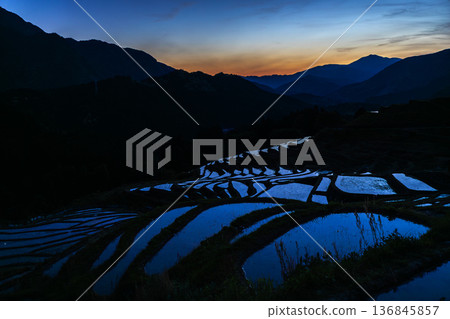 丸山千枚田的春夜 136845857