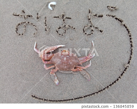 Good morning crab greetings ~Da Nang, Vietnam~ Good morning crab greetings ~Da Nang, Vietnam~ 136845859