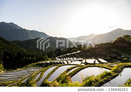 Spring at Maruyama Senmaida in the evening Spring at Maruyama Senmaida in the evening 136846201