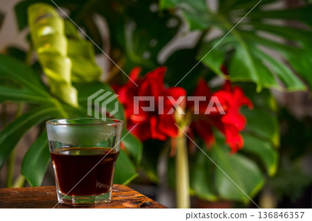 glass of espresso against a backdrop of blooming South American hippeastrum and Monstera deliciosa leaves, a coffee space about growing tropical vines and flowers glass of espresso against a backdrop of blooming South American hippeastrum and Monstera deliciosa leaves, a coffee space about growing tropical vines and flowers 136846357