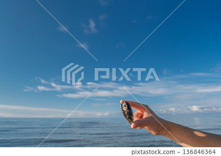 A poster of a woman's hand holding an oil-stained oyster shell against the backdrop of the ocean and blue sky, a copy space about ocean pollution and environmental protection 136846364