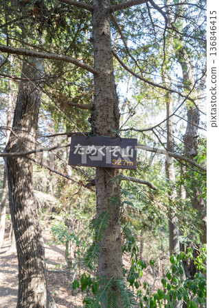 The summit of Mount Tameguso (Akiruno City, Tokyo) 136846415