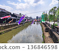 螺旋鯉魚擬餌（栃木縣栃木市，5月拍攝） 136846598