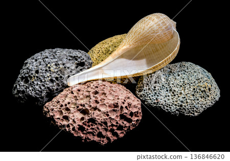 Long Elegant Sea Shell On Multi Colored Volcanic Pumice Stones Long Elegant Sea Shell On Multi Colored Volcanic Pumice Stones 136846620